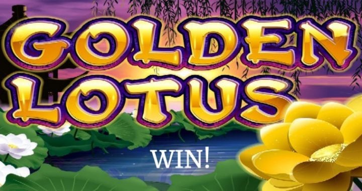 Winning Hit on Golden Lotus Slot