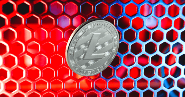 The Best Litecoin Wallets Overview