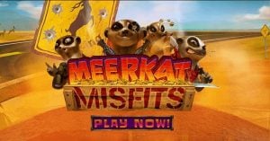 MeerkatMisfit no rules bonus
