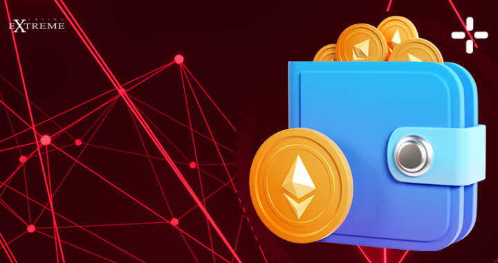 Is the MetaMask Wallet for Ethereum Only?