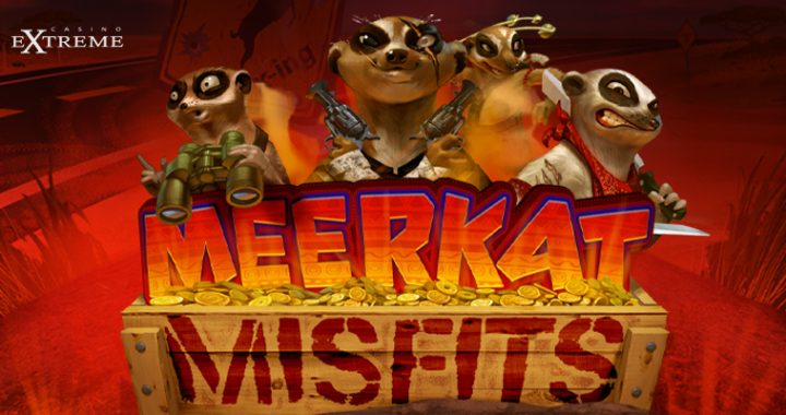 A Wild Bunch of Meerkat Misfits Brings 30 FS