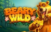 Beary Wild Winner