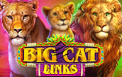 Big Cat Links Winner