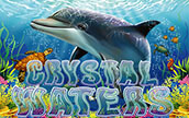 Crystal Waters Winner