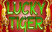 Lucky Tiger Winner